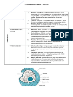 Histologia N3-1