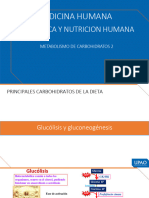 Sem 9 Metabolismo de Carbohidratos 2 - MMG