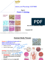 5 Histology PDF