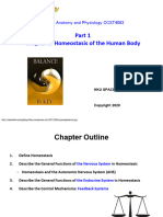-6 Homeostasis of the Human Body.pdf-複製