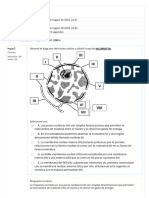 Cuestionario de Autoevaluación Del TP 11