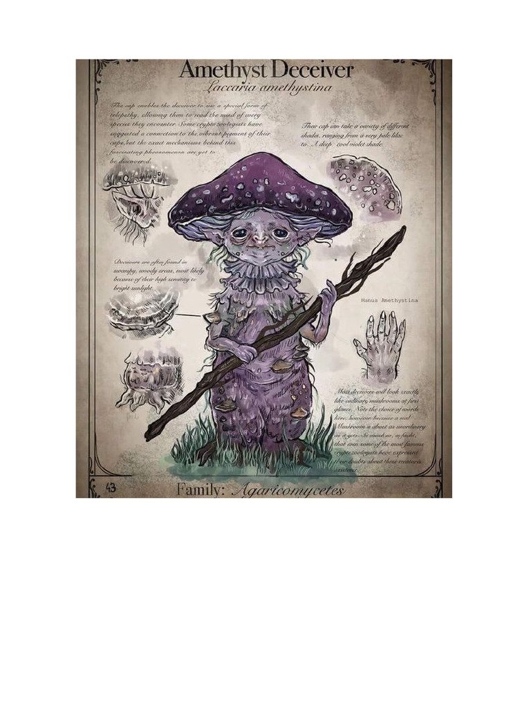 55 Amethyst Deceiver | PDF