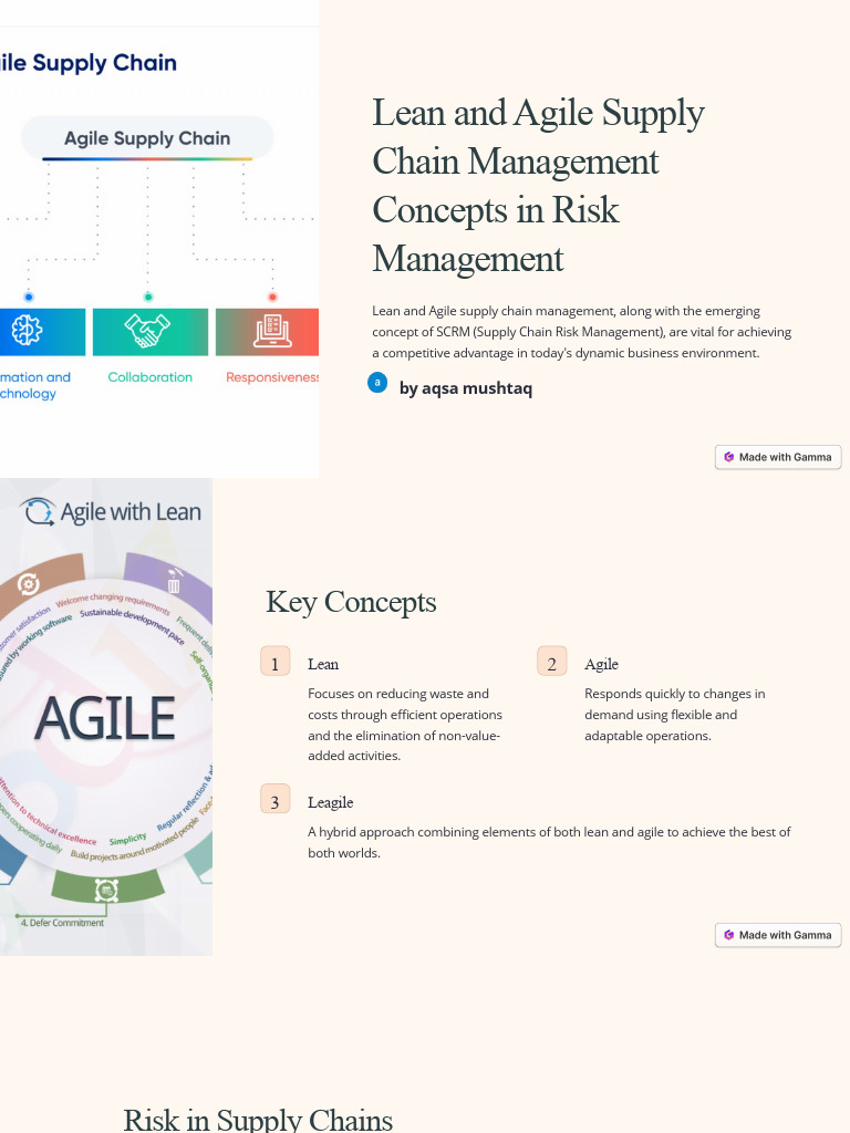 Supply Chain Risk Management | PDF | Supply Chain | Lean Manufacturing