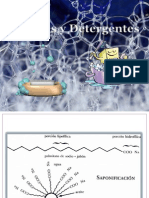 Jabones y Detergentes