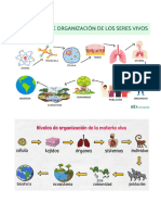 Analogías de Sinonimia