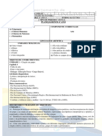 Arte - Março - Planejamento Mensal Matutino - 4º Ano A Ef