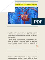 Sistema Cardiovascular