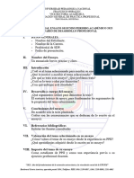 Lineamiento Oral Ensayo Segundo Periodo Académico 2023 Seminario de Desarrollo Profesional I. Datos Generales