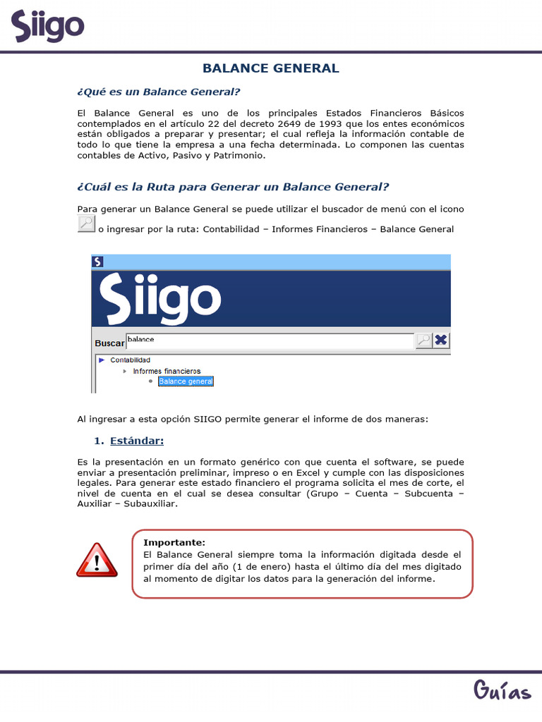 Cómo Generar un Balance General en SIIGO | PDF | Finanzas y dinero