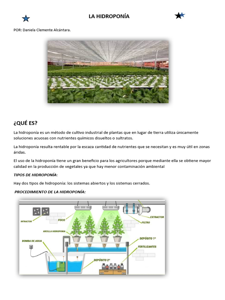 HIDROPONIA | PDF