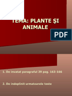 Test 2 Cl. 5 Plante Si Animale