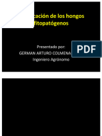 pdf-clasificacion-de-los-hongos-fitopatogenos_compress (1) (1)