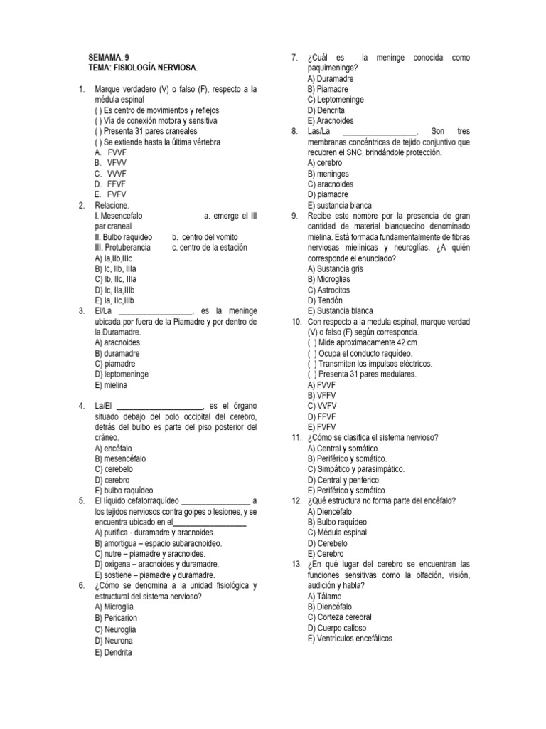 Semana 9101112 Anatomía | PDF | Linfocitos | Cerebro