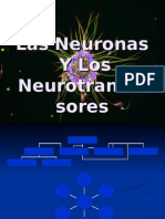 NeuronasyNeurotransmisores