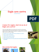 Eagle Care Centre