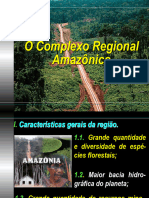 Amazonia - Ocupacao e PND's - 19