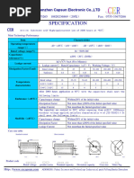 Capsun (Snap-In) CER Series