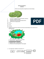 Repaso 3 Biologia