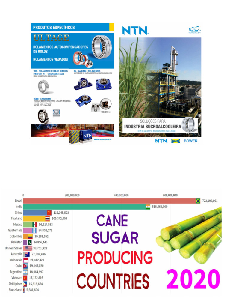 Brazil Slides PDF
