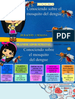 Imagenes - Proyecto Dengue