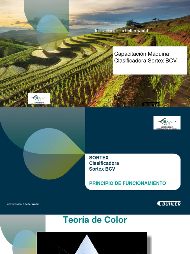 Teoría del Color en Clasificación Sortex | PDF | Color | Radiación ...