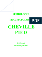 Chapitre 6 Cheville - Pied
