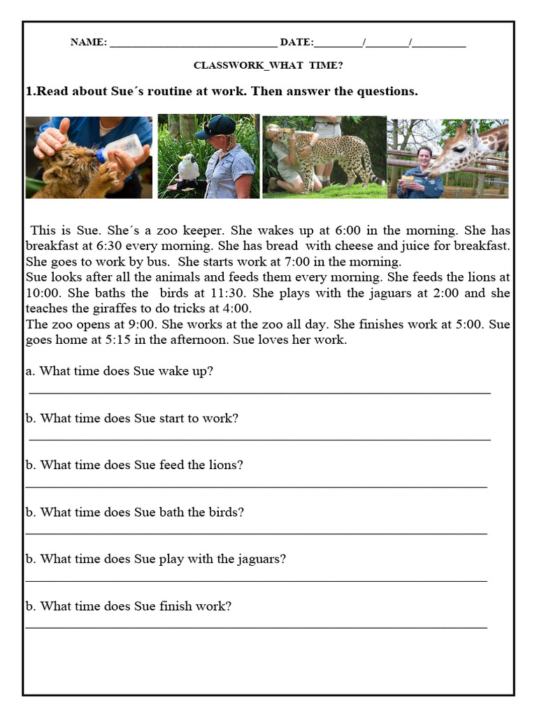 Sue's Daily Routine and Time Comprehension | PDF