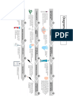 Diagrama de Flujo Venopuncion