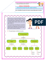 Ficha de Ciencia - Las Partes Del Cuerpo Humano-Semana Del 11 Al 15