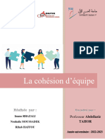 Rapport de La Cohésion D - Équipe