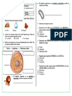 Evaluación #1