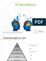 Niveles Neurologicos