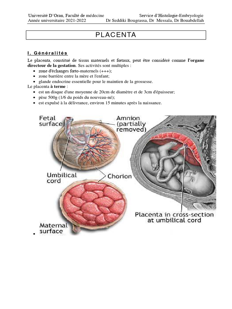 Anatomie et développement du placenta | PDF | Placenta | Grossesse