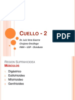 CUELLO -2