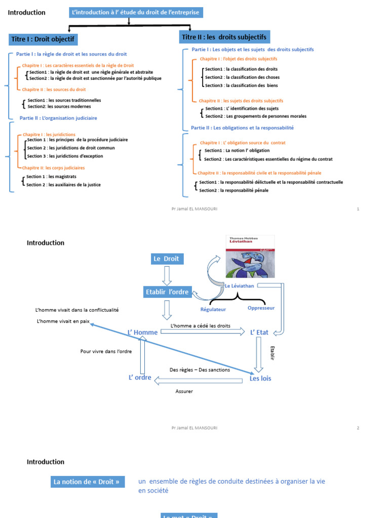 Introduction au Droit et ses Sources | PDF | Loi | Constitution