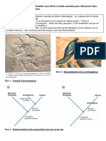 3°C3A7 Archaeopteryx DOCS