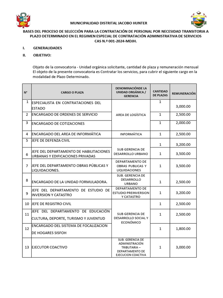 Convocatoria Cas 001 2024 MDJH PDF