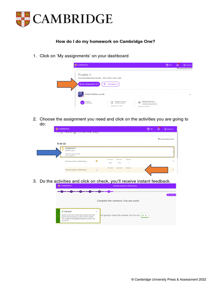 Homework Guide for Cambridge One | PDF
