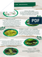 Infografía Cuidado Del Medio Ambiente Moderno Verde
