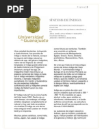 Download sintesis de ndigo by SeRa Ortega SN71882464 doc pdf