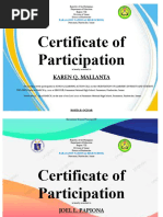 Certificate of Participation