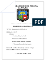 Informe 5 Analisis