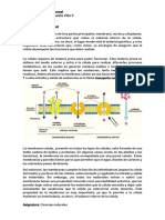 6 - Ciencias Naturales (2da Parte)