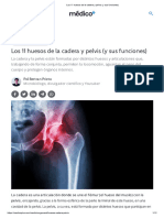 Los 11 Huesos de La Cadera y Pelvis (Y Sus Funciones)