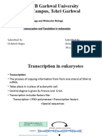 Anita - Transcription+translation in Eukaryotes