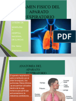 2019-Teorico Aparato Respiratorio Normal