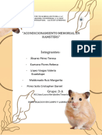 Hamster Ultima Revision