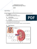 LKPD Organ Ekresi