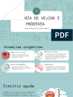 Patología Vejiga y Próstata