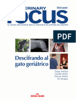 Veterinary Focus 2013 1es